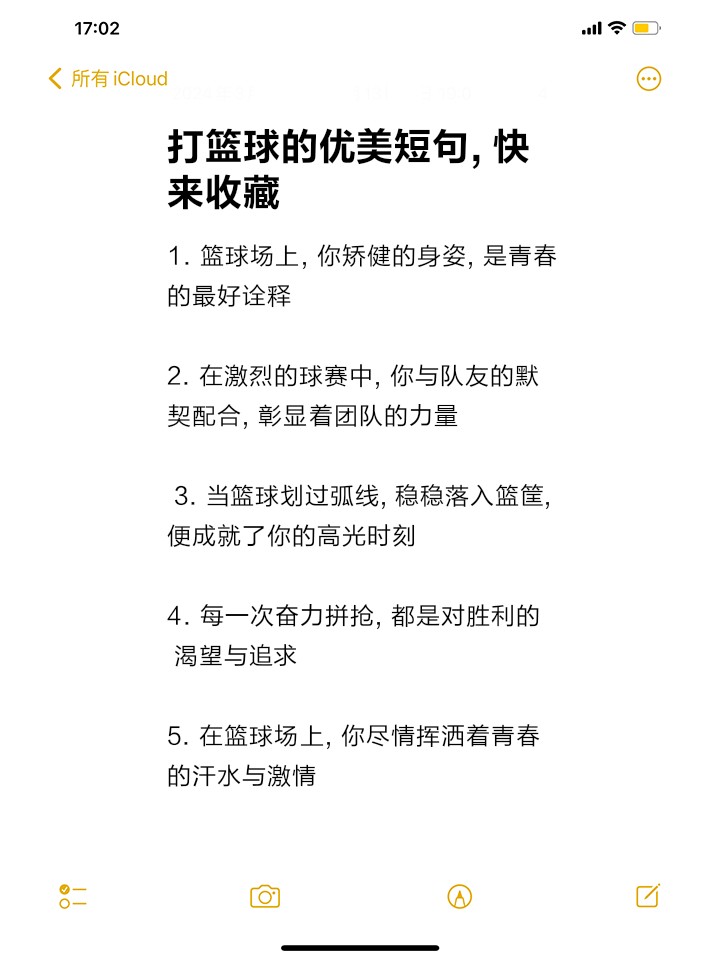 篮球训练的细节描写句子